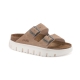 papillio arizona chunky in warm sand