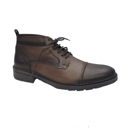 democrata astro in brown