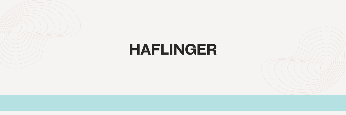 Haflinger