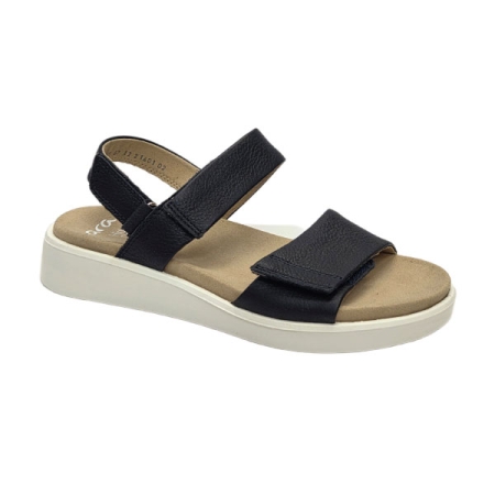 ara madeira in navy