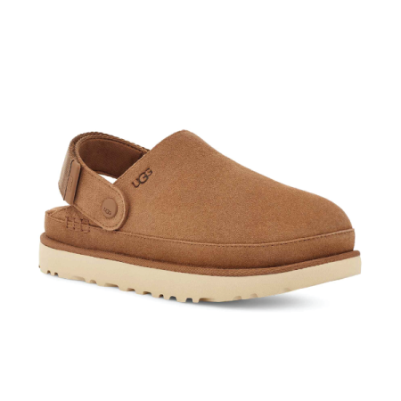 goldenstar in chestnut