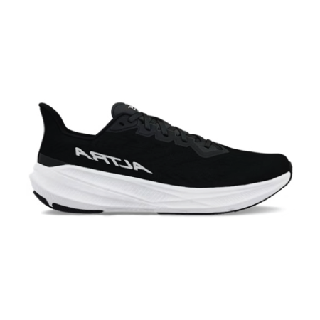 altra experience flow 2 mens
