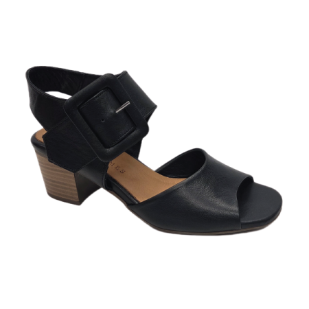 henry james elevate in black