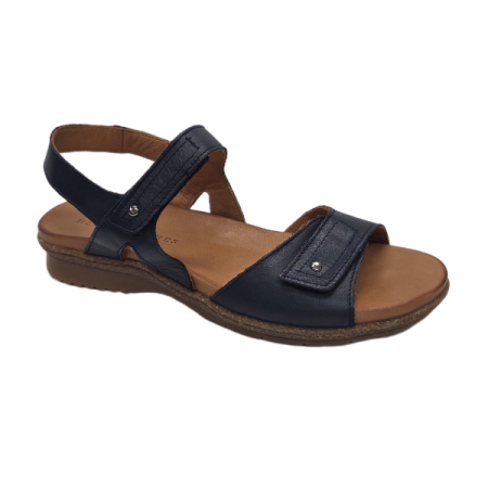 henry james seronain black