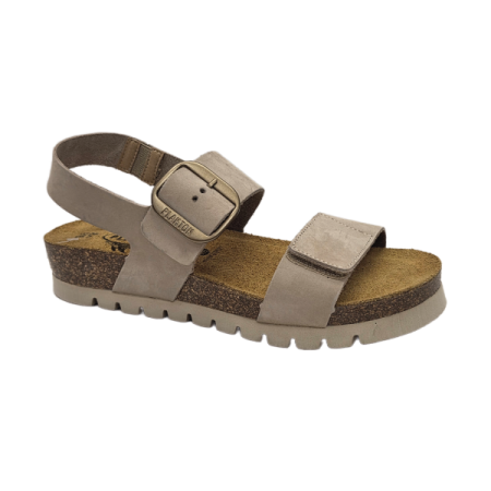 plakton condor in taupe