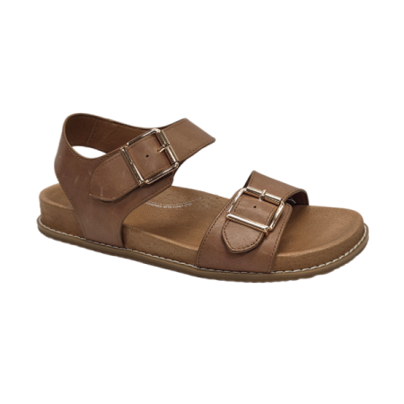 ziera hastice tan